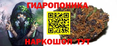 шишки Коммунар