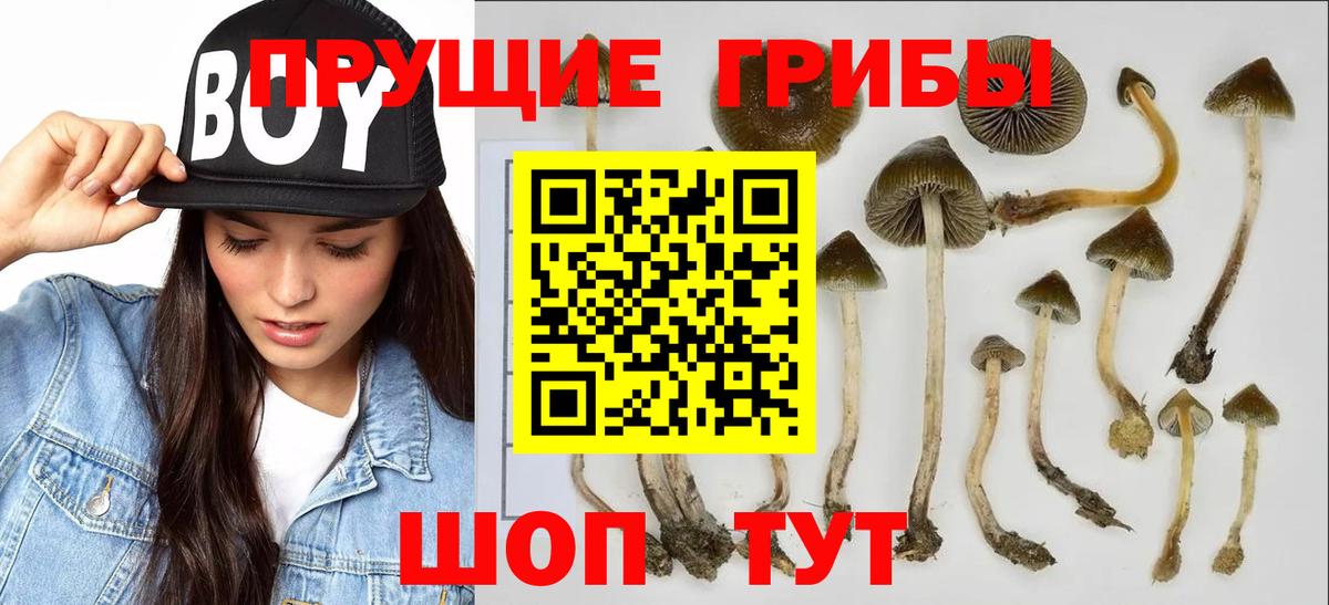 Галлюциногенные грибы Magic Shrooms Аксай